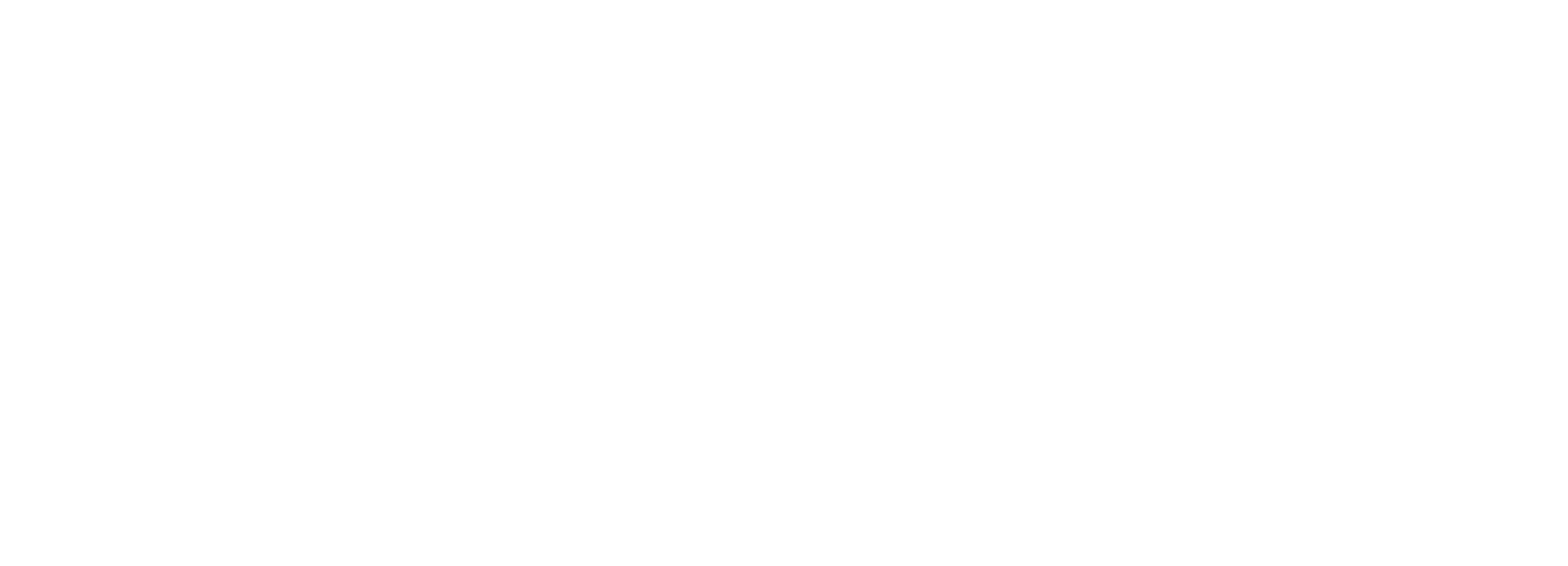Logo DERMIS